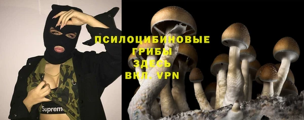 прущие крисы Струнино