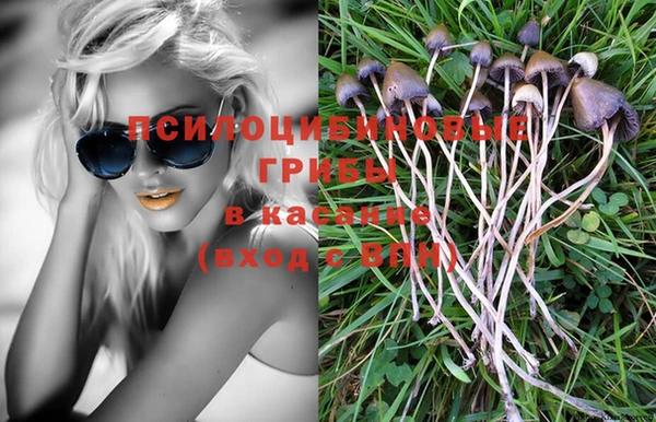 каннабис Строитель