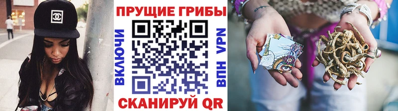 Псилоцибиновые грибы ЛСД  хочу   Краснодар 