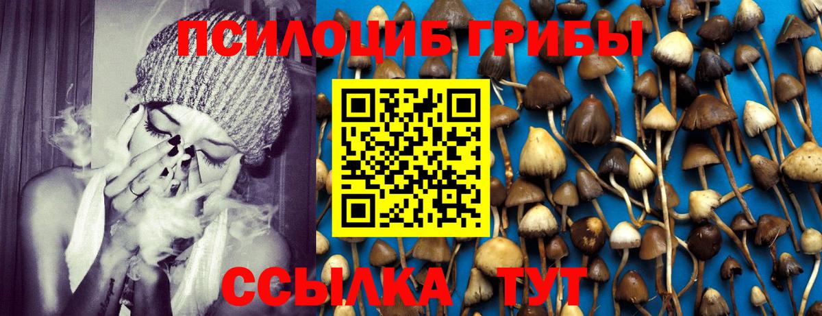 Псилоцибиновые грибы GOLDEN TEACHER Краснодар