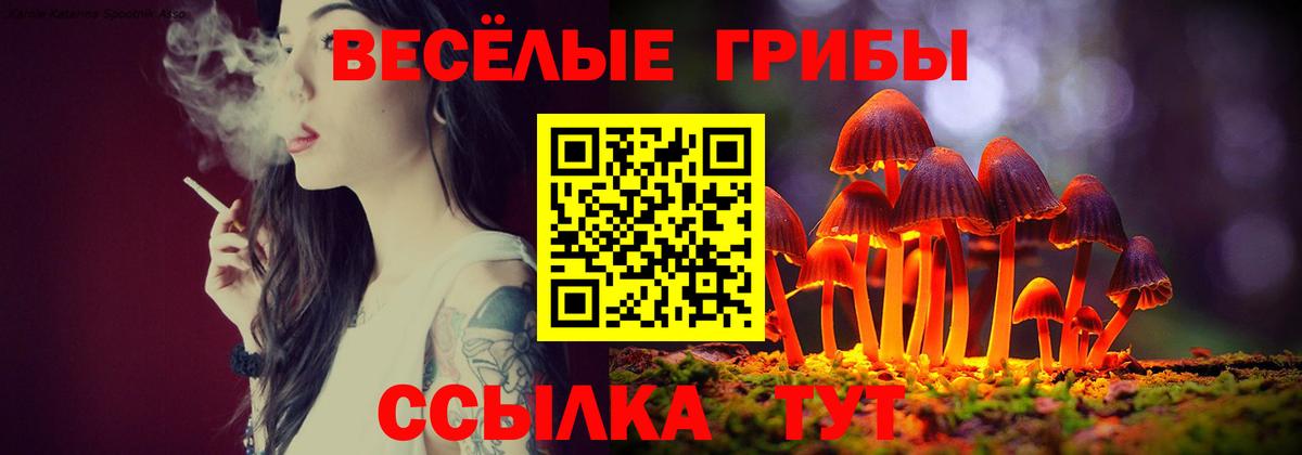 Псилоцибиновые грибы прущие грибы Краснодар